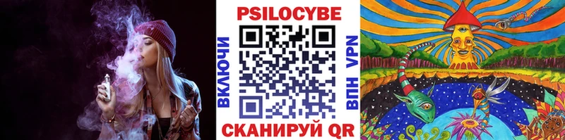 Галлюциногенные грибы Psilocybine cubensis  Купить  Сретенск 